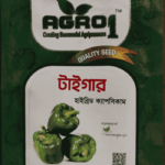 টাইগার ক‌্যাপসিকাম