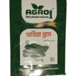 সাবিরা প্লাস শসা