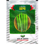 আশা চিচিঙ্গা