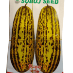 চিনাল বাংঙ্গি