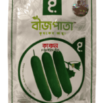 কাঞ্চন শসা