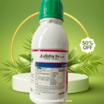 এমিস্টার টপ