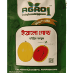 ইয়োলো গোল্ড তরমুজ