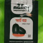 স্মার্ট বয় হাইব্রিড তরমুজ
