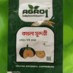 কমলা-সুন্দরী-মিষ্টি-কুমড়া