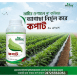 কপাট ৫০ এস এল