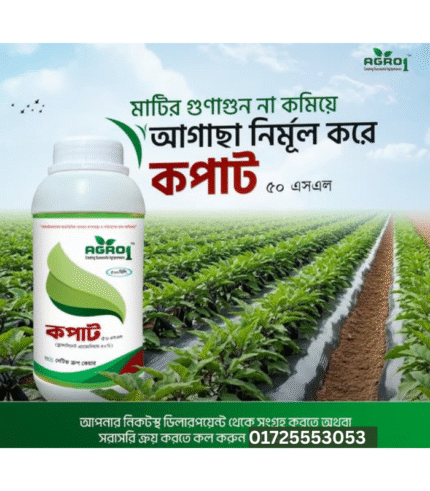 কপাট ৫০ এস এল