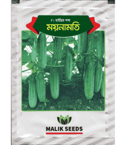 ময়নামতি শসা moinamoti sosa