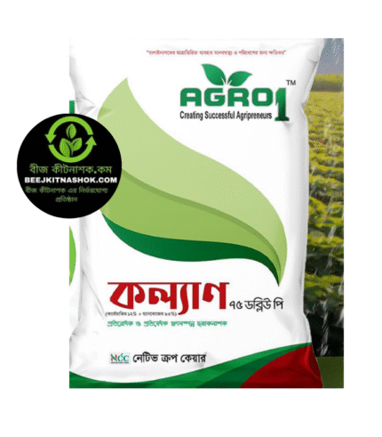 কল‌্যান