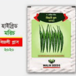 বিজলী প্লাস ২০২০