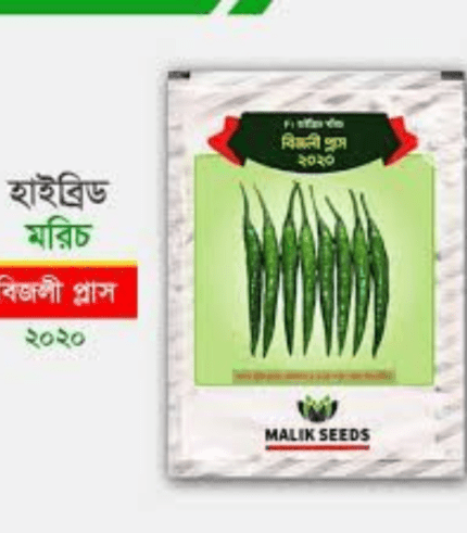 বিজলী প্লাস ২০২০