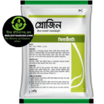 গ্রোজিন