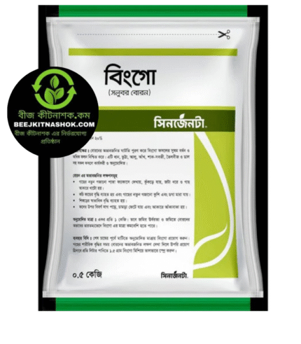 বিংগো