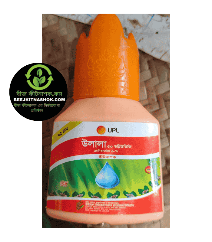 উলাআ উলালা