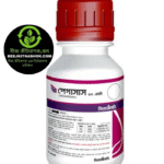 পেগাসাস