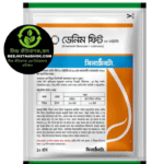 ডেনিম_ফিট