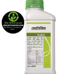 প্রোটোজিম