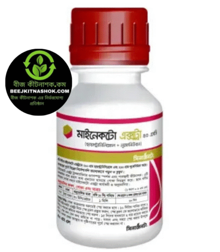 মাইনেকটো এক্সট্রা