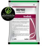 ম্যাগমা