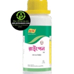 রাইপেন-১৫