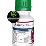 এমিস্টার টপ