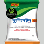 ফুলিমেইন