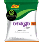 নেকব্লচ