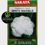 হাইব্রিড ফুলকপি হোয়াইট মার্বেল