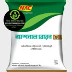 ন্যাশনাল বোরন