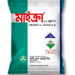 মাইক্রা