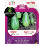 পার্থিব হাইব্রিড বেগুন