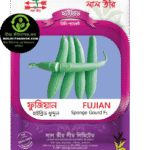 ফুজিয়ান হাইব্রিড ধুন্দুল