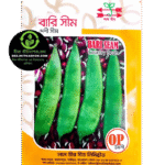 বারি শিম