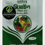 মিসাইল (Missile)