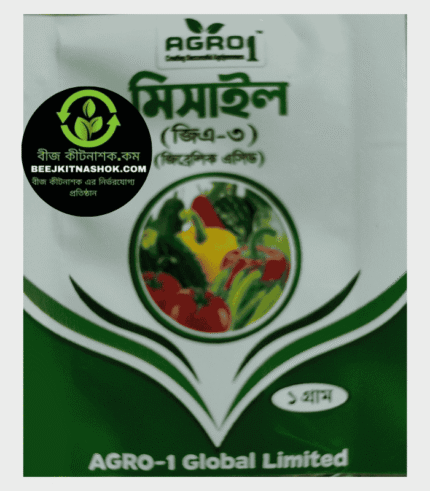 মিসাইল (Missile)