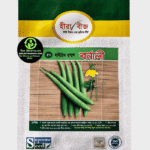 হাইব্রিড ধুন্দুল  – বর্নালী