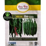 হাইব্রিড মরিচ – হীরা-১১১