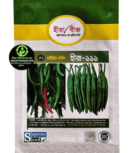 হাইব্রিড মরিচ – হীরা-১১১