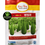 হাইব্রিড লাউ – রায়না