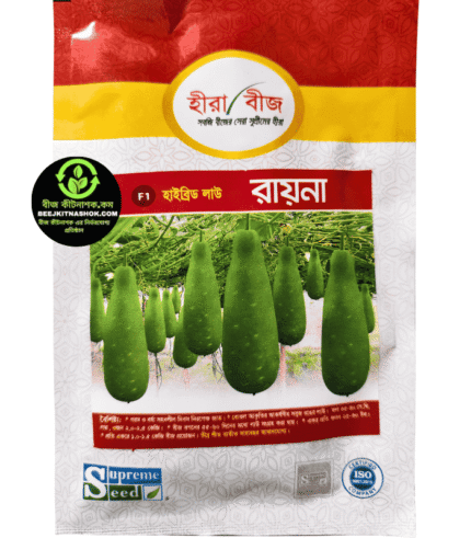 হাইব্রিড লাউ – রায়না