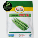 সামার লং ধুন্দুল