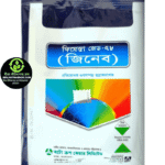 ফিয়েস্তা জেড-৭৮ (জিনেব)