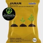 জামাম-সি উইড (Jamam Sea Weed)