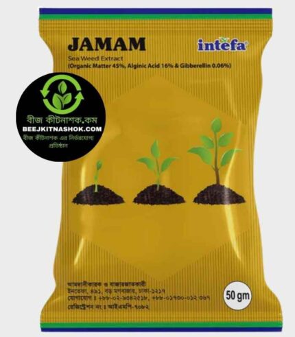 জামাম-সি উইড (Jamam Sea Weed)