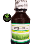 লেটু-এম ৬৯ EW (Letu-M 69 EW)