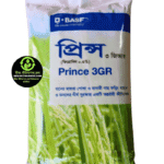 প্রিন্স ৩জি (Prince 3GR) 