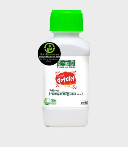 বলবান