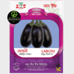 লাবনী