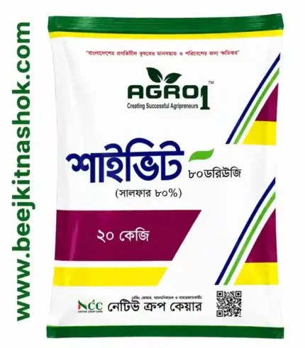 শাইভিট